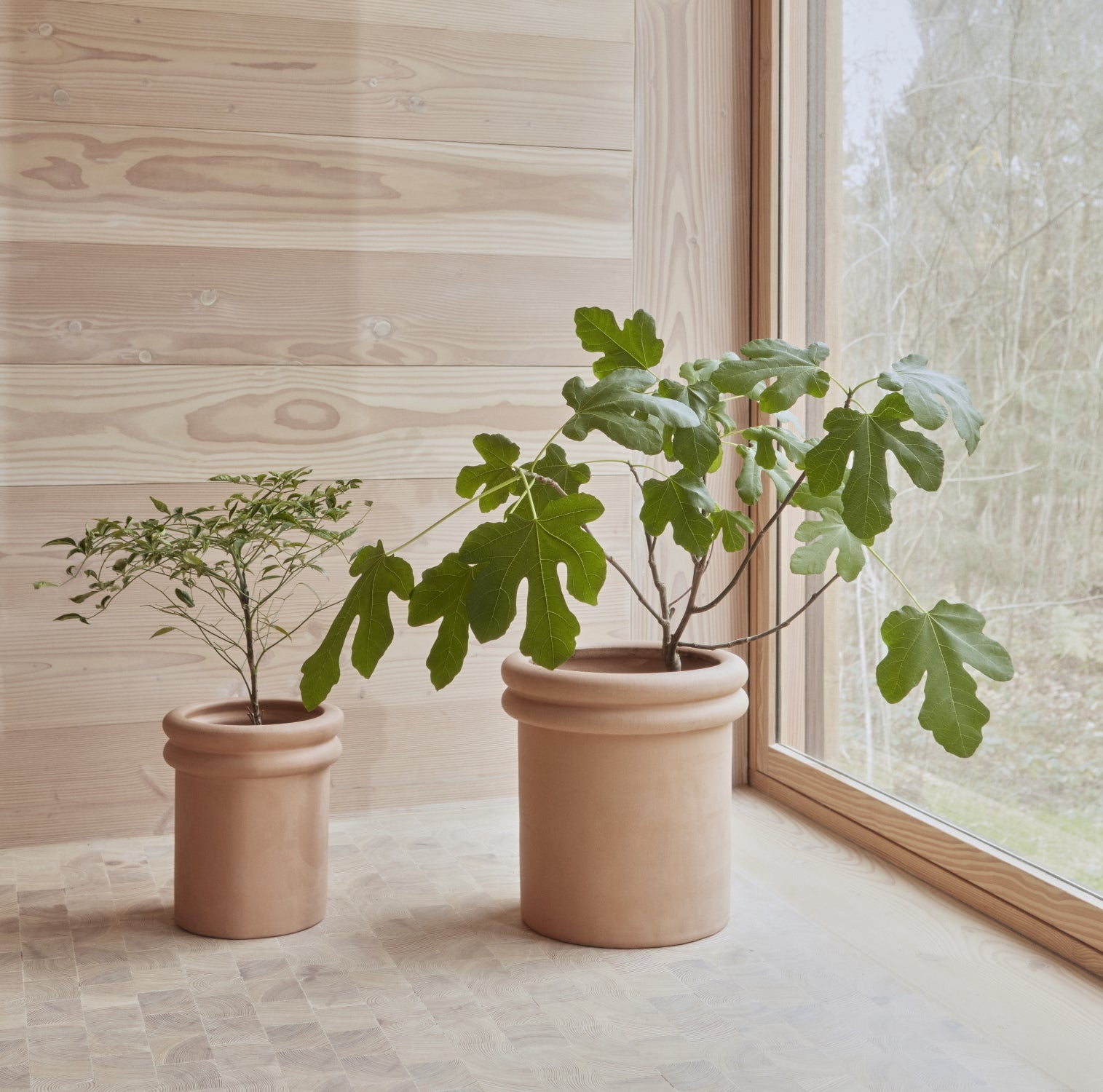 OYOY-ring-planter-large-choko